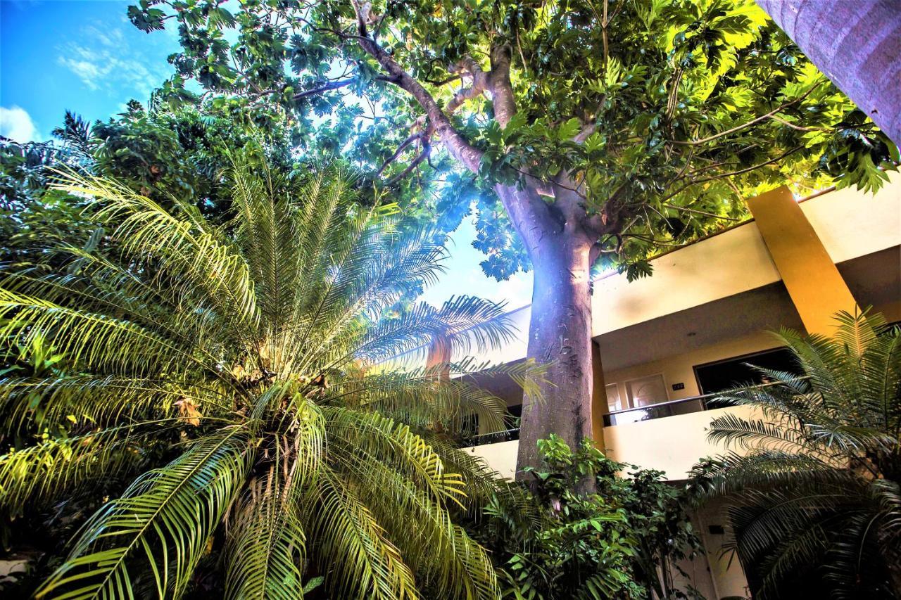 Hotel Plaza Mirador Merida Exterior photo